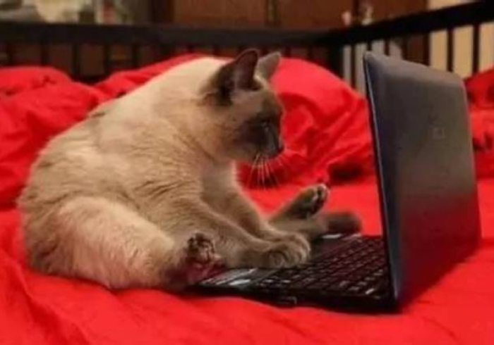 【 技 术 分 享 】 “ 功 夫 熊 猫 挂 多 少 钱 ” 真 的 有 挂 【 技 术 分 享 】 “ 功 夫 熊 猫 挂 多 少 钱 ” 真 的 有 挂