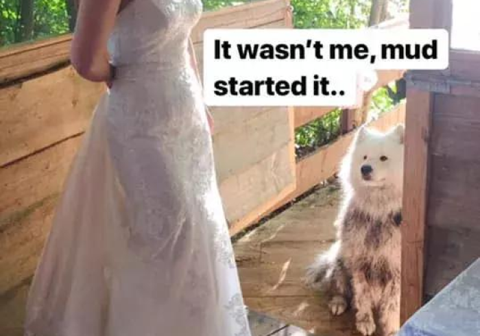 【 玩 家 必 备 技 术 】 “ 中 至 上 饶 麻 将 有 挂 没 ” ( 透 视 曝 光 猫 腻 ) 【 玩 家 必 备 技 术 】 “ 中 至 上 饶 麻 将 有 挂 没 ” ( 透 视 曝 光 猫 腻 )