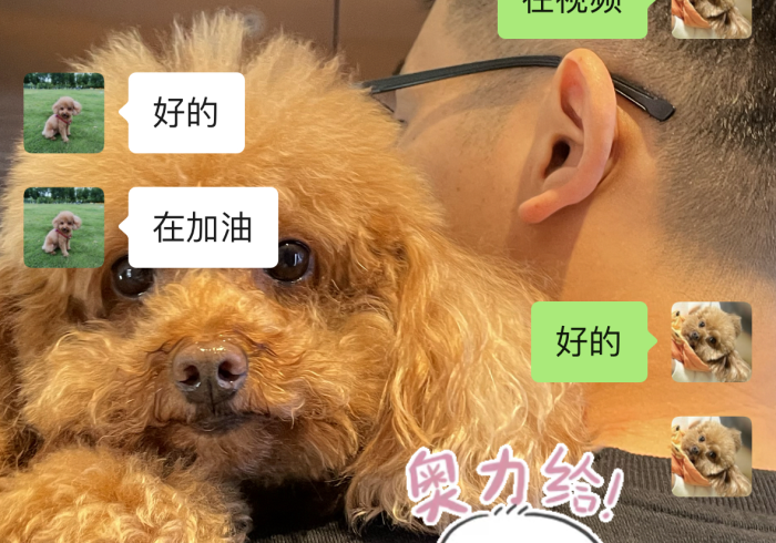 [ 分 析 ] “ 梗 来 疯 可 以 设 置 一 个 人 老 输 么 ” ( 原 来 确 实 是 有 挂 )