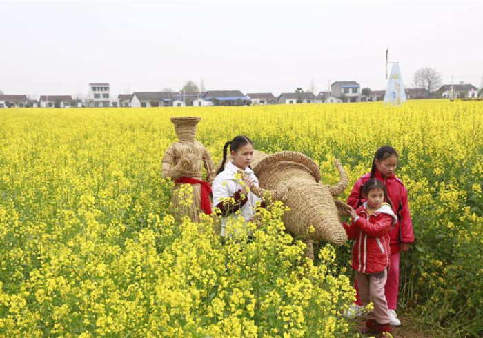 秒懂教程“新八戒牛牛房卡”获取房卡教程-哔哩哔哩 秒懂教程“新八戒牛牛房卡”获取房卡教程-哔哩哔哩