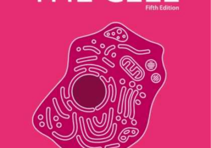 一分钟了解“微信斗牛大厅链接房卡”房卡链接获取