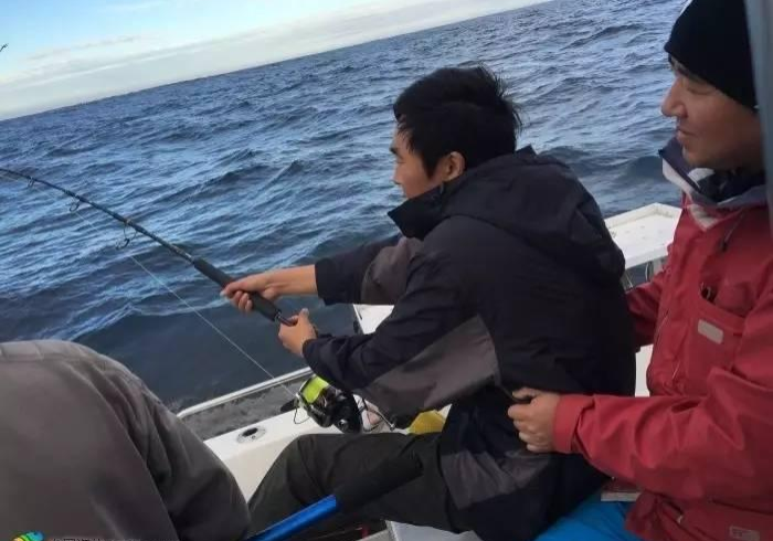 【 重 磅 来 袭 】 “ 新 道 游 插 件 是 不 是 真 的 ” ( 必 胜 开 挂 神 器 )