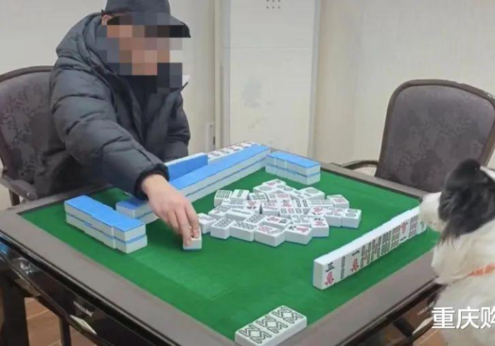 必学教你安装“四川转转麻将可以买挂吗”(曝光透视必备猫腻) 必学教你安装“四川转转麻将可以买挂吗”(曝光透视必备猫腻)