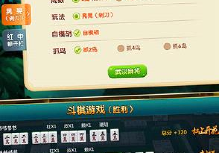 必看攻略“乐乐四川麻将开挂能看出来吗”-详细教程