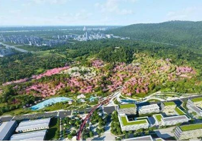 全网解答｜“万游有没有人开挂”(透视曝光猫腻)