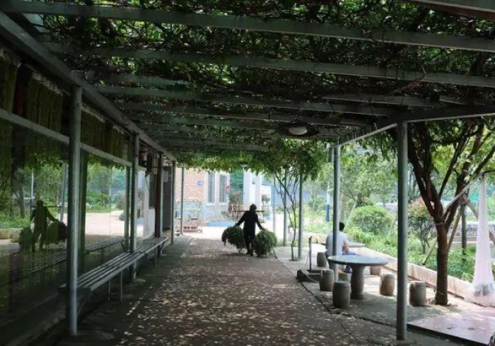 秒懂百科“微信链接炸 金花房卡怎么买”详细房卡怎么购买教程