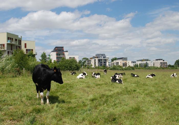 秒懂百科“微信牛牛群斗牛群”房卡获取方式
