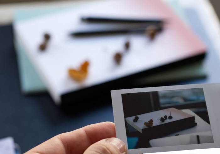 一分钟介绍使用“新天道牛牛房卡”房卡详细充值 一分钟介绍使用“新天道牛牛房卡”房卡详细充值